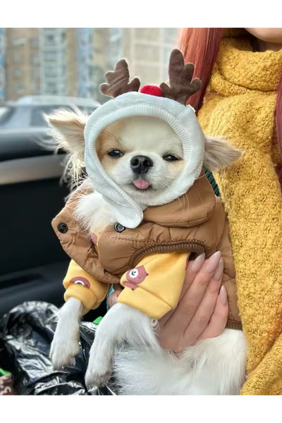 mastercat قبعة شتوية للكلاب من Geyikli - قبعة للكلاب (لكلاب السلالات الصغيرة ...