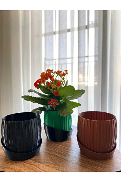 3D Tasarım Dekoratif Saksı - Modern Seri