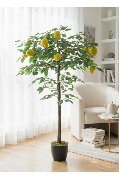 Nettenevime Yapay Limon Ağacı 100cm 12 Limonlu Doğal Görünümlü Siyah Plastik ...