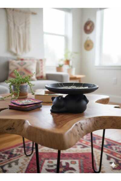 Dropcek eticaret Dekoratif Sevimli Tombul Kedi Figürlü Makyaj, Sunum Ve Takı ...