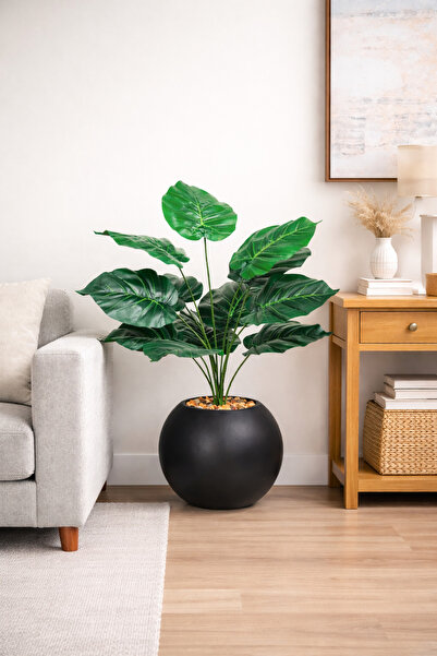 AMZOE Ornamental plant with green leaves and an elegant round pot – 55 cm tall
