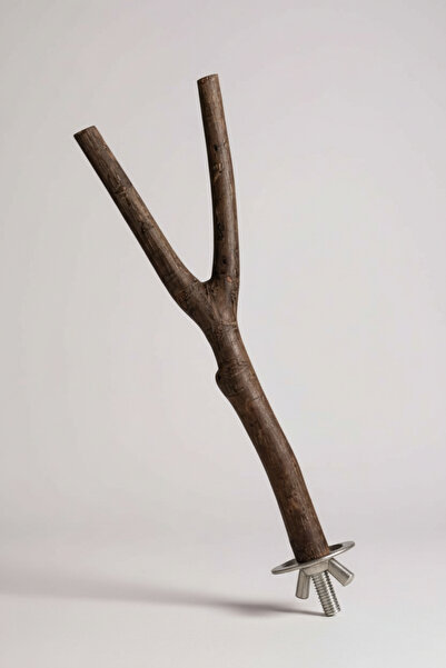 Alyones Doğal Ağaç Dalı Kuş Tüneği | Y-Şekilli 35 cm Kuş Perchesi | Kuş Kafes...