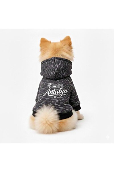 PetiliDünya City Series Hat Dog Sweat Cat Sweat Fleece-Lined City Series
