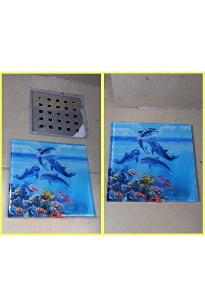 Depo eşya dükkanı Koku gelmez,böcek gelmez 12x12 cm Banyo giderine cam