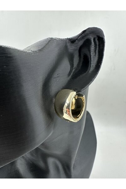 staınless steel Gold Renk Bombeli Oval Halka Küpe
