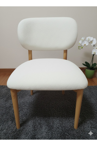 BASHTUGH TİCARET Apple Chair Cover Bohemian Chair Cover Diner Restaurant Kitc...