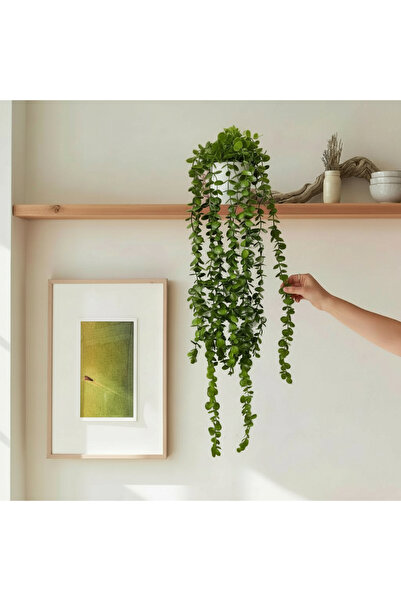 ERHAN FLOWERS Elite Yapay Çiçek mini Saksıda 80 Cm Yoğun Yapraklı Koyu Yeşil ...