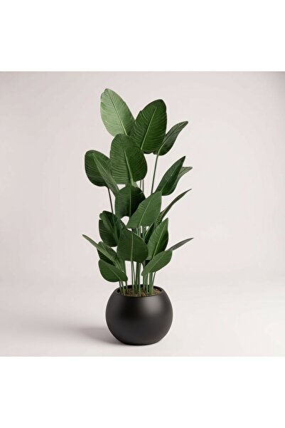 florayapaycicekcom Premium Yapay Starliçe 160 cm 20 Yaprak lüks Şık Siyah Kür...