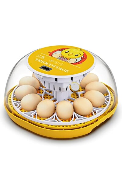 OEM Automatic Incubator for 12 Eggs