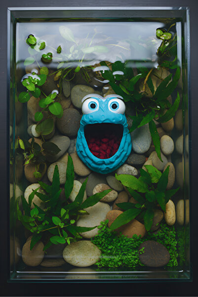 açelya3d Akvaryum Süsü Dekor Kurbağa Dekoru Mağara Oyuk Balık Saklanma Alanı ...