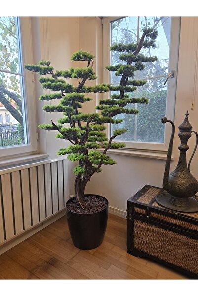 Decoroon El Yapımı Gerçek Ağaç Gövdeli Büyük Bonsai – Ultra Premium Yapay Bon...
