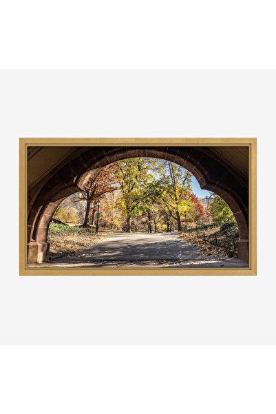 Tajridhome لوحة طبيعة هادئة - طريق تحت قوس - أشجار ملونة - هادئ - لوحات طبيعة...