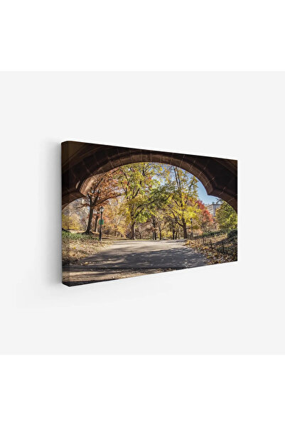 Tajridhome لوحة طبيعة هادئة - طريق تحت قوس - أشجار ملونة - هادئ - لوحات طبيعة...