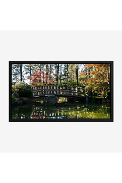 Tajridhome A tranquil nature painting - wooden bridge - warm colors - peacefu...