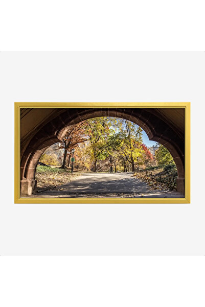 Tajridhome لوحة طبيعة هادئة - طريق تحت قوس - أشجار ملونة - هادئ - لوحات طبيعة...