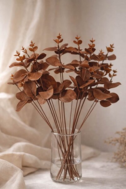 BUCOLIC فرع الكافور – أوكالبتوس صناعي للزينة