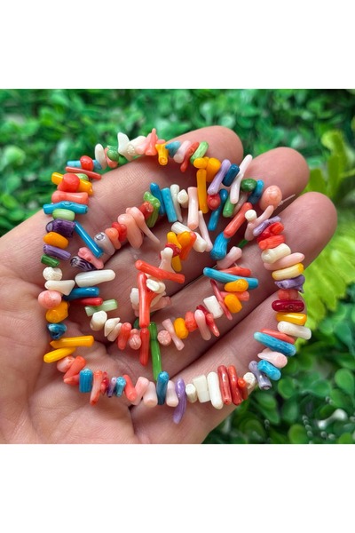 TAŞ UZMANI حجر المرجان الأسنان متعدد الألوان صغير الحجم