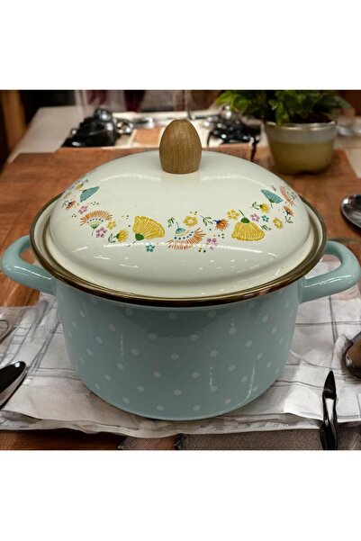 ALEV EMAYE 20 cm 3 Litre Emaye Yoğurt Mayalama ve yemek pişirme Tenceresi