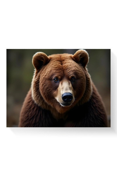 Printees Tablou - Marele urs - Canvas pe șasiu