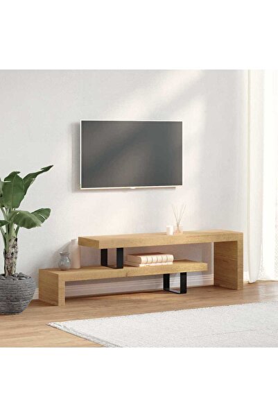 vidaxl حامل تلفزيون من خشب المانجو الصلب