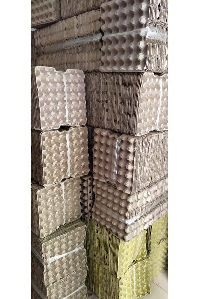 Kalite Meraklıları 5 adet Yumurta VİYOLÜ - kaliteli viyol