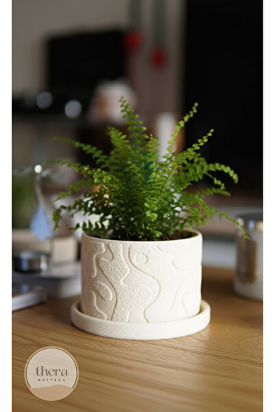 Thera Bottega MOSSA Dekoratif Küçük/Orta Boy Bitki/Sukulent Saksısı 12 CM Çap...