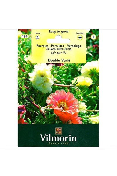 Vilmorin Fibron Gel Katmerli Ipek Çiçeği (Kedi Tırnağı) Tohumu