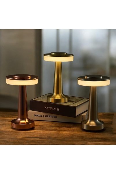 Skygo Decorative Led Table Lamp Mz-600 1 Piece