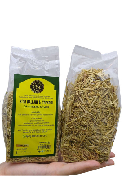 Sabuncu Hacı Orijinal 1. Kalite Taze Sidr Yaprağı (Arabistan Kirazı) Dalı & Ö...