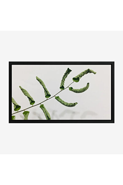 Tajridhome لوحة طبيعة هادئة - ورقة خضراء - خلفية بيضاء - نقي - لوحات كانفاس -...