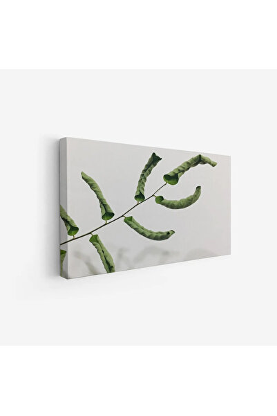 Tajridhome لوحة طبيعة هادئة - ورقة خضراء - خلفية بيضاء - نقي - لوحات كانفاس -...