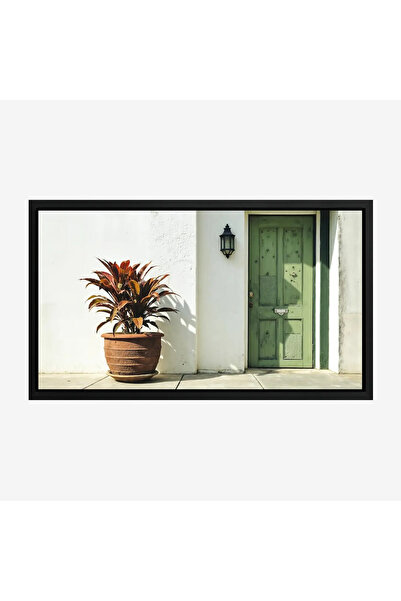 Tajridhome لوحة طبيعة هادئة - باب أخضر - جدار أبيض - مشمس - لوحات طبيعة - لوح...