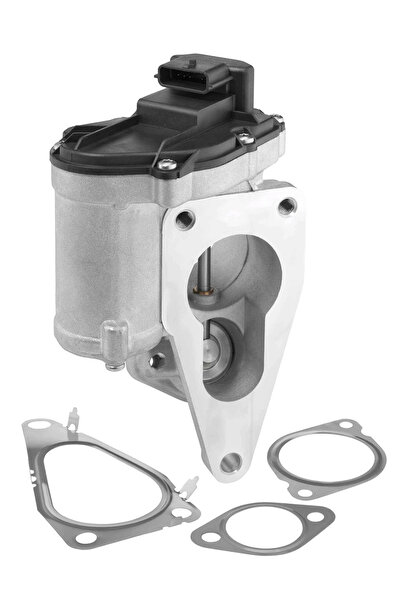 BorgWarner (Wahler) Supapa Egr Renault Laguna 2/Megane 2/Scenic 2 Suzuki Gran...