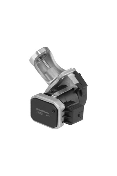 BorgWarner (Wahler) Supapa Egr Seat Alhambra Vw Sharan