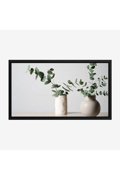 Tajridhome لوحة طبيعة هادئة - فازات نباتات - خلفية بيضاء - هادئ - لوحات طبيعة...