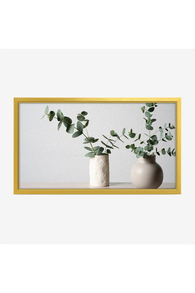 Tajridhome لوحة طبيعة هادئة - فازات نباتات - خلفية بيضاء - هادئ - لوحات طبيعة...