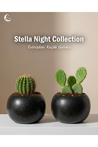 Harmony Masa Üstü Işıltılı Saksı