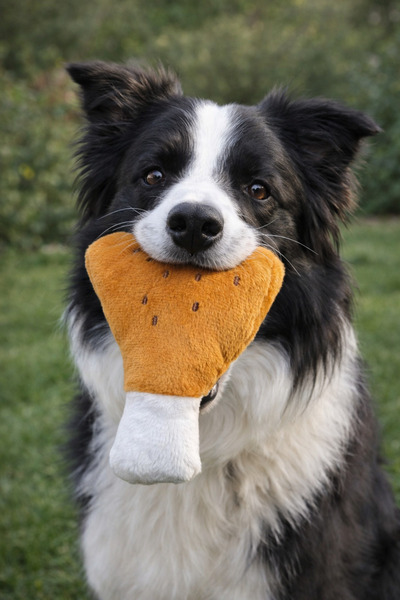 mastercat لعبة كلب لطيفة مقاس 17-20 سم ناعمة