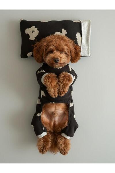 Kemique طقم نوم للكلاب |   بدلة قطنية ممشطة للكلاب ووسادة صغيرة |   للفئات ال...