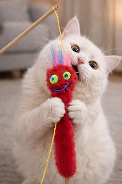 mastercat حشوة ماتاتابي للقطط - عشبة مجنونة للقطط