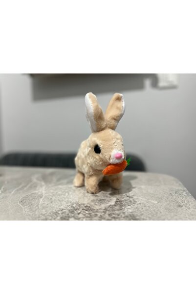 TK TEKNOLOJİ PİLLİ VE SESLİ ZIPLAYAN TAVŞAN