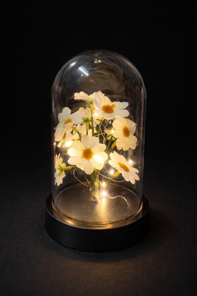 FUŞA ÇİÇEKÇİLİK Işıklı Şeffaf Sert Plastik Fanus Papatya Dekor – LED Aydınlat...