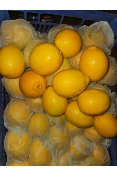 Limon Yarım Kg