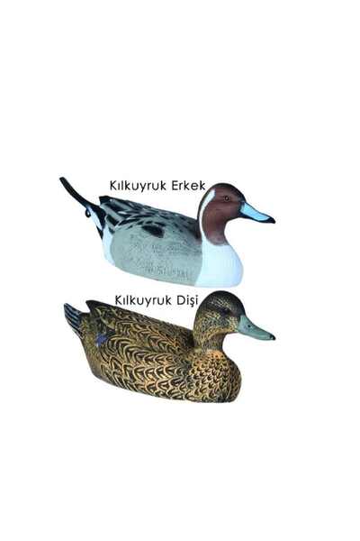 efeoğlu DR DUCK KIL KUYRUK ÖRDEK MÜHRESİ 8 ADET ( 5 ERKEK 3 DİŞİ )