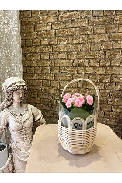 Rüya Dizayn Mini sepet saksı Rattan dekoratif ürün hasır sepet