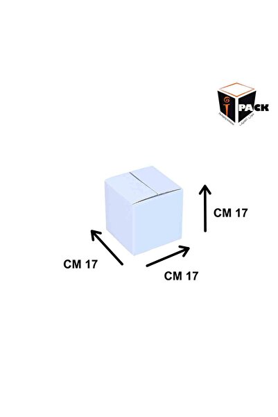 iPack White Shipping Box #1