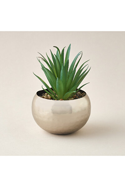 Lifestyle نبتة زينة مع وعاء - 10 × 21 سم