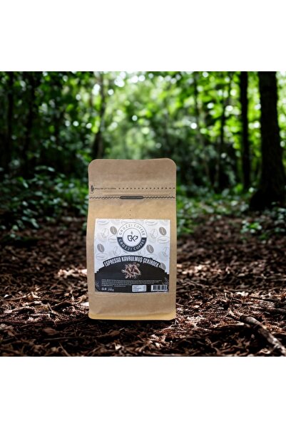ESPRESSO ÇEKİRDEK 250 GR