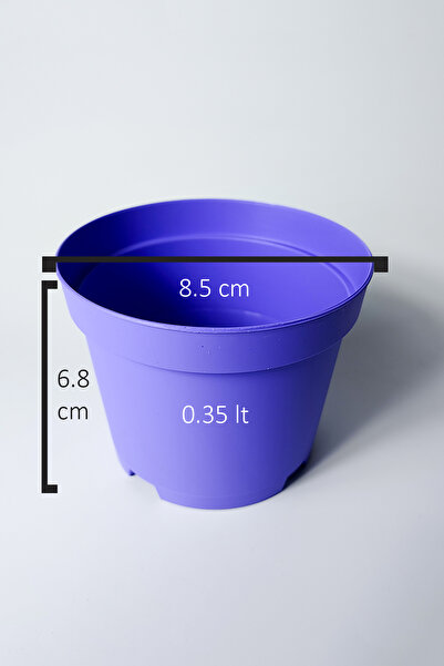 Tekpar Kaktüs ve Sukulent Saksısı Bol Drenaj Delikli 8.5 cm çap Lila 100 Adet
