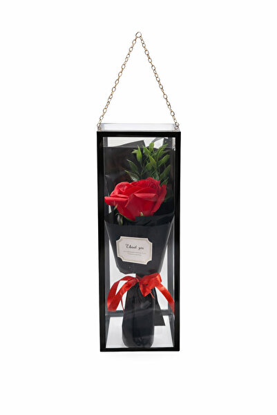 OEM Red Foam Rose in Transparent Black Decorative Box 26cm